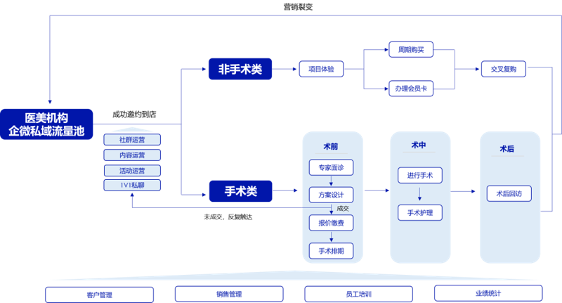 医美运营管理